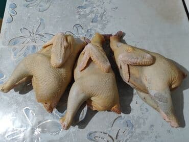 живой фарель: Курица :, 2 кг, Самовывоз, Бесплатная доставка, Платная доставка — 1