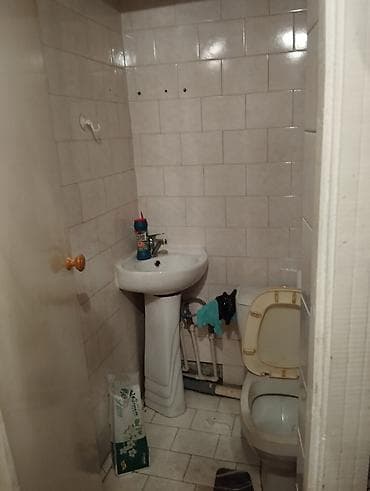flat rent: 2 комнаты — 6