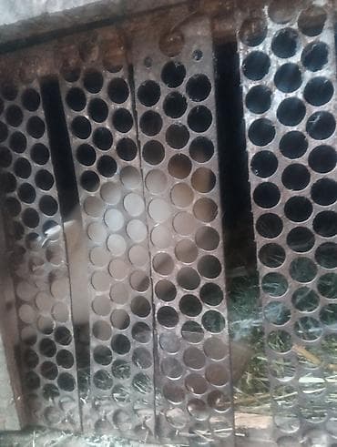 Продаю кроликов порода бабочка