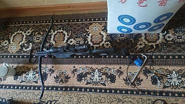наружный чехол: MK 185 
Арбалет с оптикой. 80кг.
20 стрел.

Только сегодня такая цена — 2