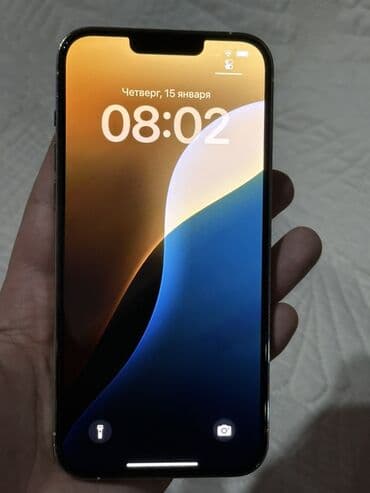 iphone 13 цена бишкек: IPhone 13 Pro Max, Колдонулган, 256 ГБ, Күмүш, Коргоочу айнек, Каптама, Куту, 75 % — 2
