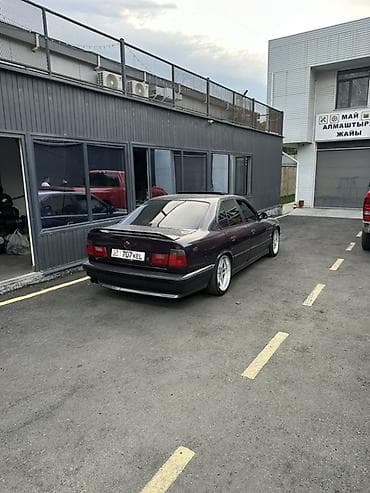 hella e34: BMW 5 series: 1995 г., 4.4 л, Механика, Бензин, Седан — 3