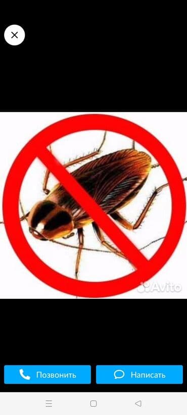 дезинфекция дома от клопов ош: Дезинфекция, дезинсекция, | Тараканы, Обработка деревьев, Вирусы, микробы, | Офисы, Транспорт, Квартиры — 1