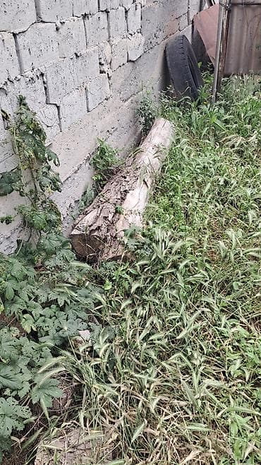 дрова купить бишкек: Дрова Самовывоз — 5