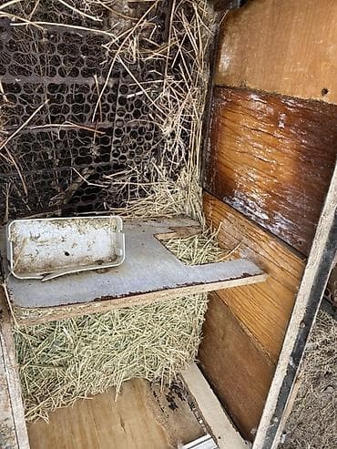 Үй жана бакча: Жыгач Ящик — 1