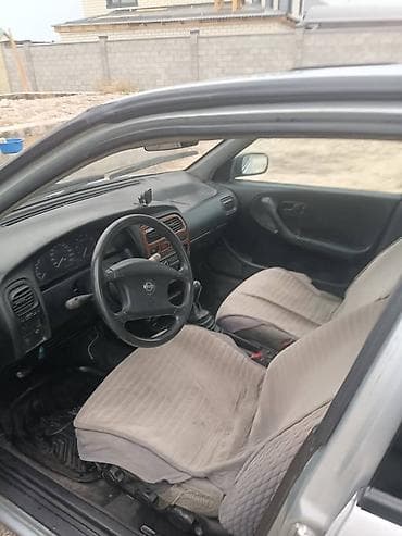 primera: Nissan Primera: 2000 г., 1.6 л, Механика, Бензин, Седан — 4