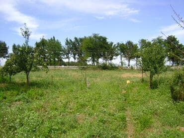 пол дома пишпек: Дом, 200 м², 10 комнат, Собственник — 5