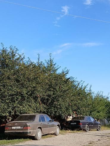 спойлер солярис 1: Mercedes-Benz W124: 1989 г., 2.3 л, Механика, Бензин, Седан — 3