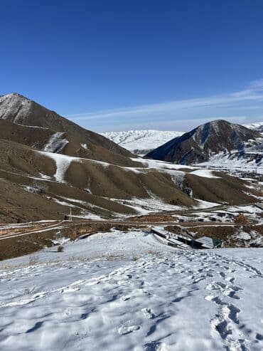 куплю конь: Бус, Такси, легковое авто | 5 мест — 8