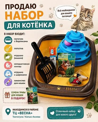 cat sofa: 🐱 Продаю набор для котёнка 🐾 В набор входит: ✨ лоточек с бортиками ✨ — 1