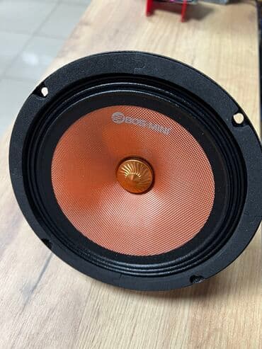 динамик w210: Эстрадная акустика от компании Bos-mini Размер 16.5 см Номинал 180 — 2