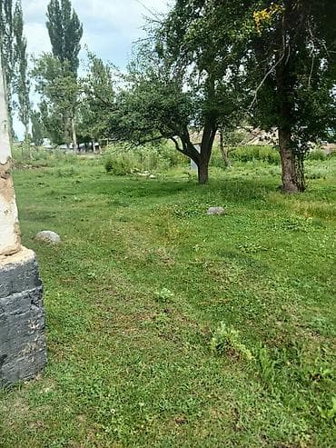 селом: 33 соток, Для строительства, Красная книга, Тех паспорт — 9