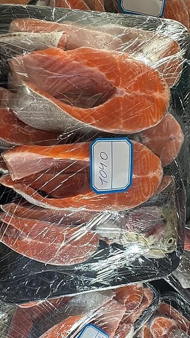 утиная грудка бишкек: СВЕЖАЯ ФОРЕЛЬ ЦЕНА 500 сом 
Отправка в регионы — 4