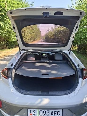спинка: Hyundai Ioniq: 2017 г., Автомат, Электромобиль, Хэтчбэк — 8