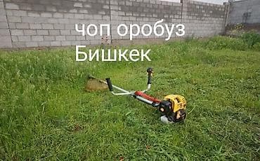 пиларама бишкек: Договорная
Бишкек шаарында 
чоп чабабыз 
Бишкек шаарында — 1