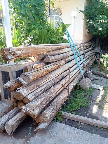 Оңдоп-түзөө жана курулуш: Бревна/колоды для стройки и хозяйственных нужд - Порода: хвойные — 1