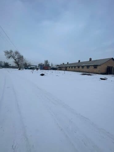 продаю дом военно антановка: 130 соток, Бизнес үчүн, Кызыл китеп, Техпаспорт — 14