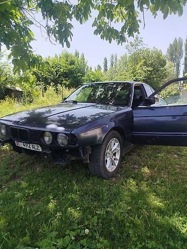 экран е34: BMW 5 series: 1992 г., Седан — 4