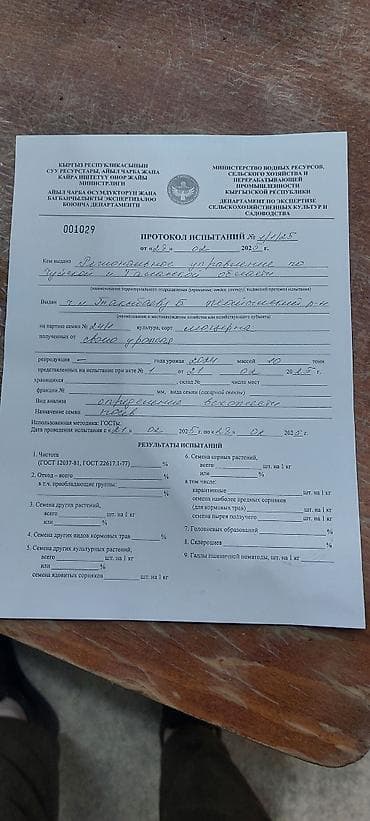 семена капусты в бишкеке: ОПТОМ ОПТОМ Беде уругу Джеа Багира сорттору. 24/7 на связи — 8