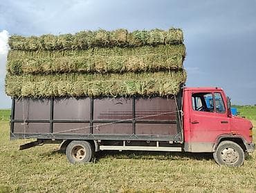 домашний индюк цена: Первый укос Свежий Беде/Клевер Аралаш чоп/Разнотравье Есть разные — 1