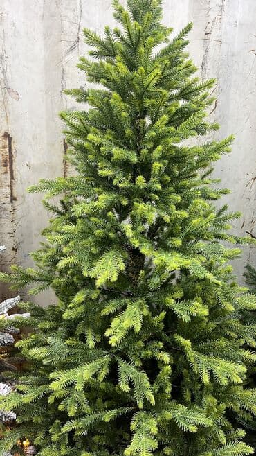 матрас 2 спальный: Елка премиум качества 1,20 метр-5500 1,50 м-7000 1,80 м-9000 2,10 — 1