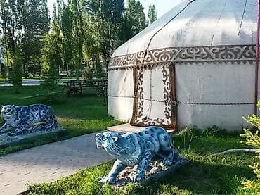 Иссык-Куль 2026: Койко-место, Дельфин Чок-Тал, Детская площадка, Парковка, стоянка, Охраняемая территория — 8