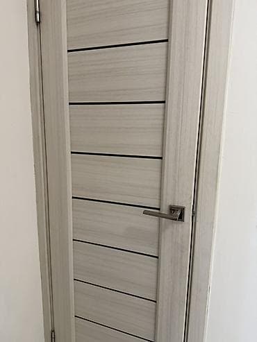 Межкомнатные двери в современном стиле - Цвет: светлый дуб/ясень — 2