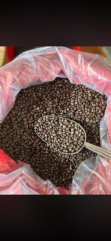 обжарка: 🔥 BLACK COFFEE SNG Прямые поставки кофе из Вьетнама 🇻🇳 Без посредников — 1