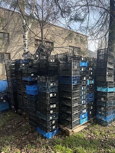 Таңгактоо товарлары: Пластик Ящик — 1