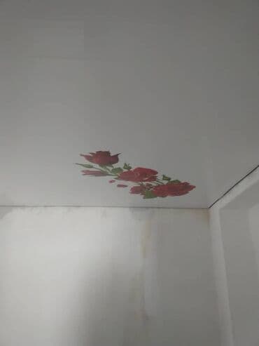 цена натяжные потолки бишкек: Натяжной потолок Глянцевое, Матовое, 3D потолки Бесплатный замер, Бесплатная консультация, Гарантия — 25