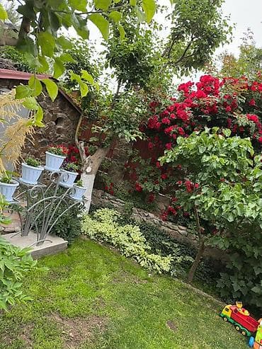 поливной кленка: Мангал Классический — 7