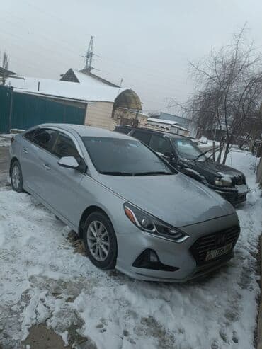 Иш-чараларды уюштуруу: Сдаю в аренду соната 2018 год важно!!! Возраст от 25-50 лет !!! — 3