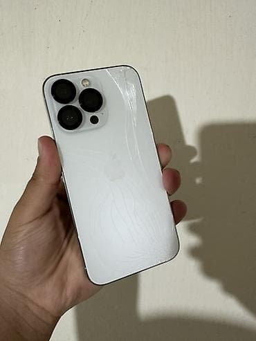 far cry 5: IPhone 13 Pro, 128 ГБ, Серебристый, Коробка — 7