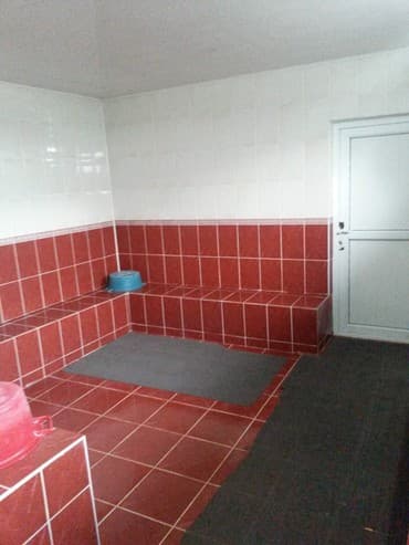 отдых на ысык кол: 1.)***Семейная баня с паром *** 2.) Уютная баня с условиями баня — 10