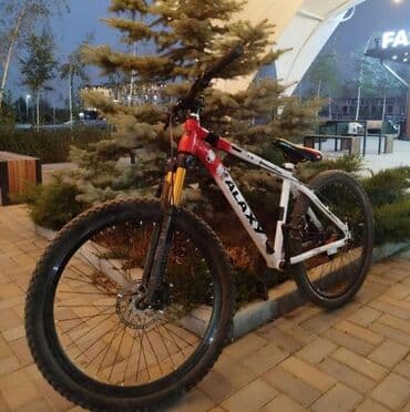 релис диска: Горный велосипед, Galaxy, Рама M (156 - 178 см), Алюминий, Б/у — 3