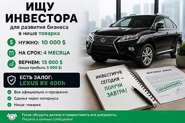 Готовый бизнес: 🚀 Ищу инвестора для масштабирования бизнеса в нише товарного бизнеса — 2