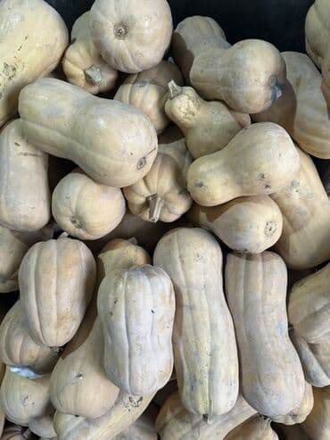 шкаф в ванную бишкек: Тыква Матильда Срочно❗️❗️❗️ - Сорт: баттернат (грушеобразная, с — 3