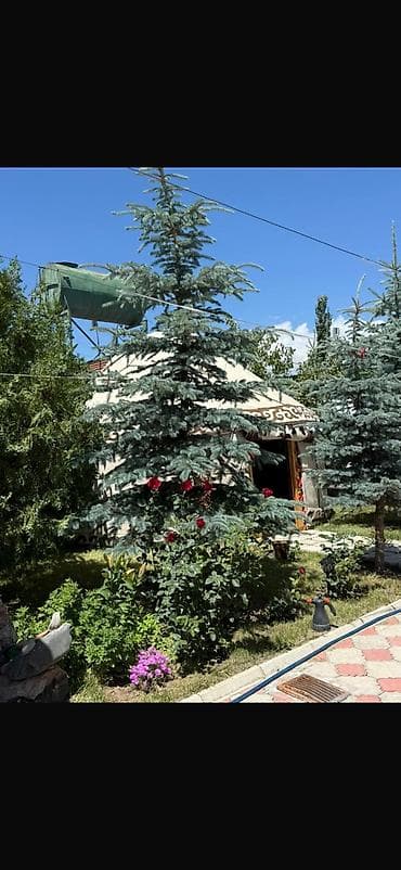 Недвижимость: Гостиница на Иссык-Куле, Лаванда, Чон-Сары-Ой, 5 мест — 9
