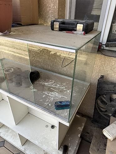 аквариумы с рыбками: Стеклянная витрана и 2 шт полочки для товаров. Идеально подойдет для — 2