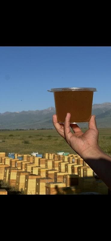 тара для мёда: Ат башинский горный ( разнотравие )Натуральный мёд с пасеки - Свежий — 1