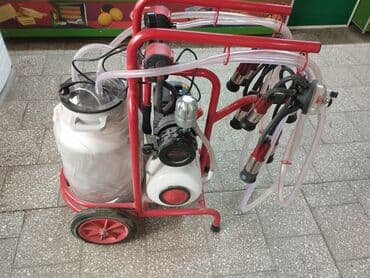 турецкий доильный аппарат цена: Доильный аппарат масляный турецкая (бренд akcay) на одну и на две — 1