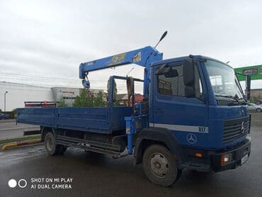 Жаанын 8 м, 3 т., Борттун 7 кг