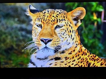 большой экран: Телевизор с большим экраном (примерно 65–75"), тонкими рамками и — 2