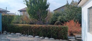 Дом, 50 м², 2 комнаты, Собственник, Евроремонт