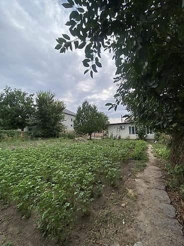 дом участка: Срочно !Продаются дом с участком 10 соток — 6