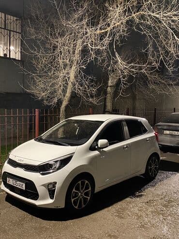 Kia Morning: 2019 г., 1 л, Автомат, Газ, Хэтчбэк