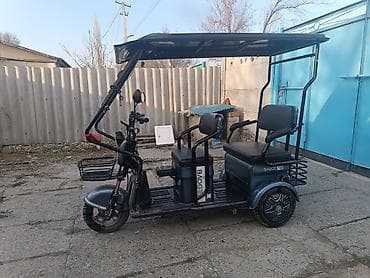 электромобиль муравей: Электрический трёхколёсный трицикл с крышей и ветровым стеклом — 2