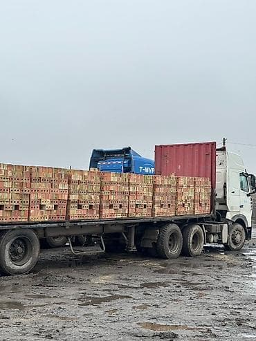tabris super: Пустотелый, дырчатый, Жженый кирпич, Одинарный, 250×120×65 — 2