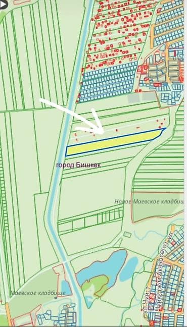 300 соток, Для бизнеса, Договор дарения