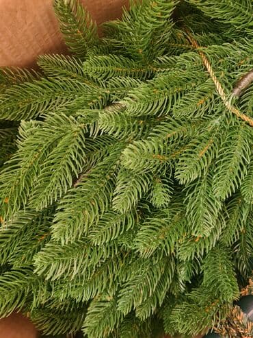 необычные подарки для девушек бишкек: Шикарная, Искусственная новогодняя елка высотой 210см. Модель «Финская — 10